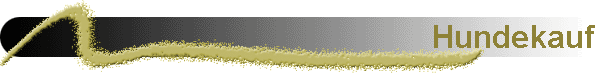 Hundekauf