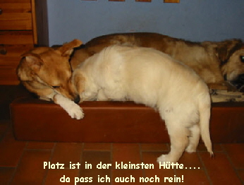 Platz ist in der kleinsten HÃ¼tte....  da pass ich auch noch rein!