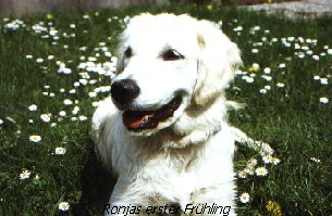 Ronjas erstes FrÃ¼hjahr