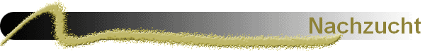 Nachzucht