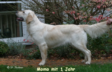 Momo 1 Jahr alt