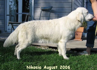 Nikosia August 2006