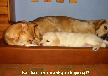 Na, hab ich's nicht gleich gesasgt?   Es geht doch !!!