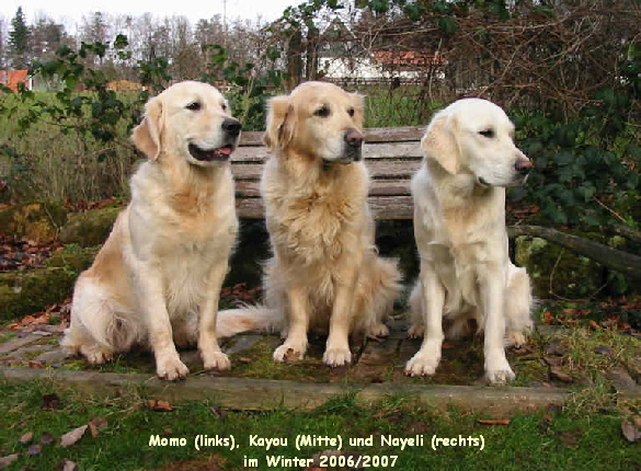 Momo (links), Kayou (Mitte) und Nayeli (rechts) 
im Winter 2006/2007