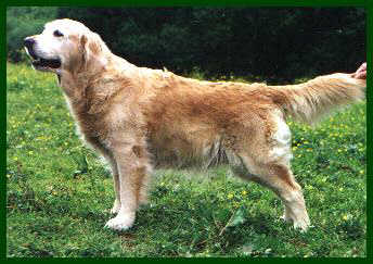 Amaya von der RÃ¤uberburg